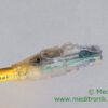 Patchcord UTP LED kat.6a dł.7ft=2,1m czerwony produkt BELDEN